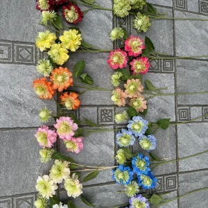 Điểm Bảo Thạch