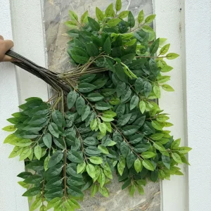 Điểm Bó Lá Khế