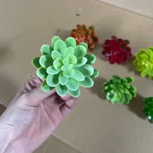 Điểm Bông Sen Đá Túi 50 Bông