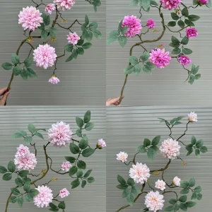 Điểm Cành Dược Cổ