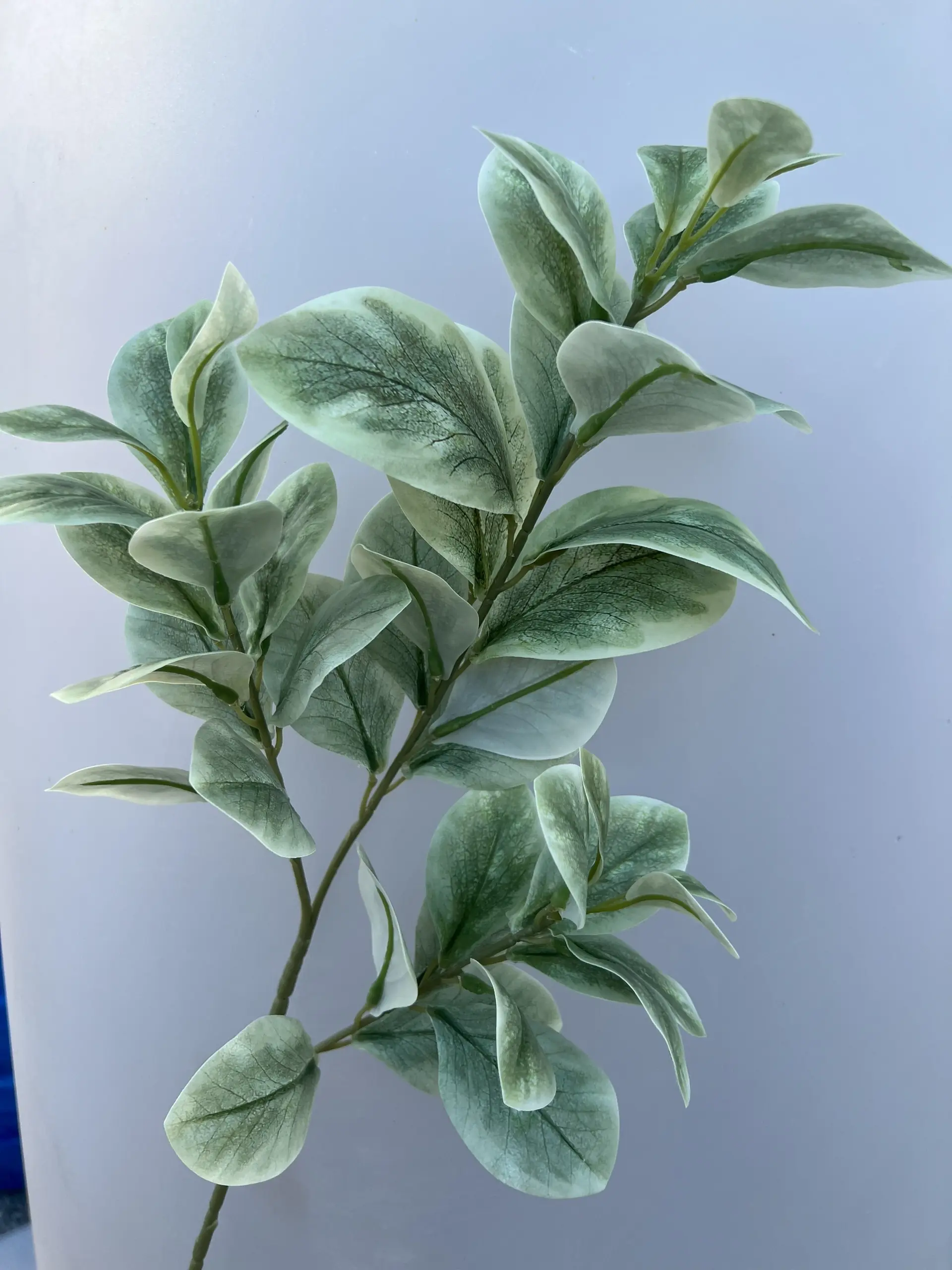 Điểm Chanh 3D - Ảnh 2