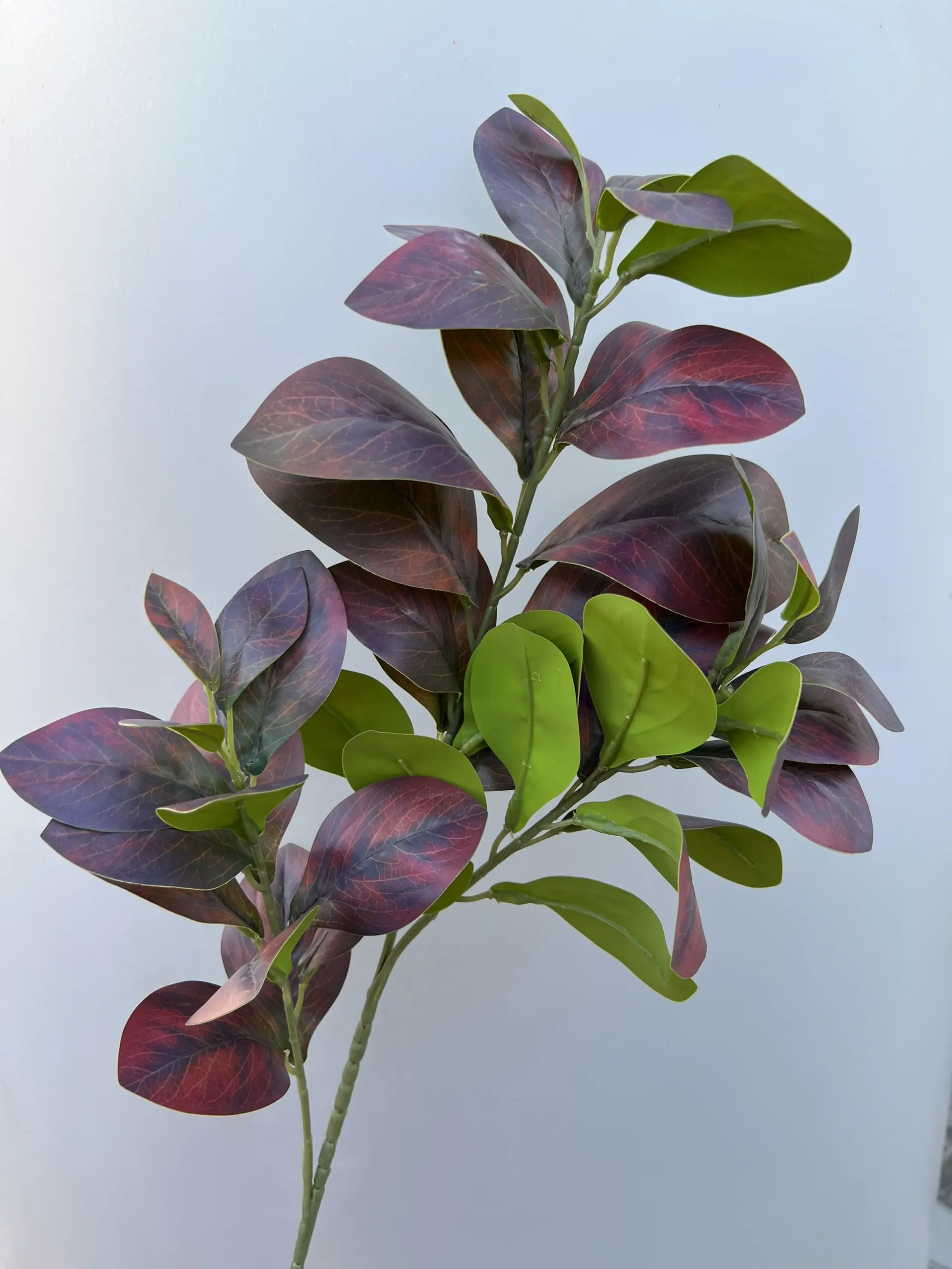 Điểm Chanh 3D - Ảnh 6