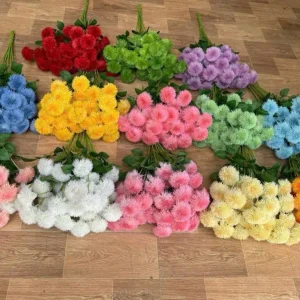 Điểm Cúc Kim Phượng