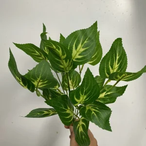 Điểm Cụm Lá Bé