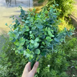 Điểm Cụm Tai Chuột