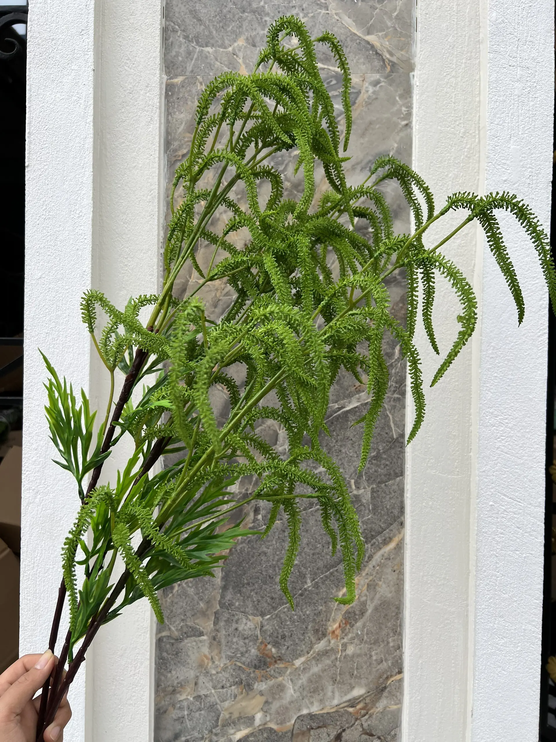 Điểm Dền Gai - Ảnh 3