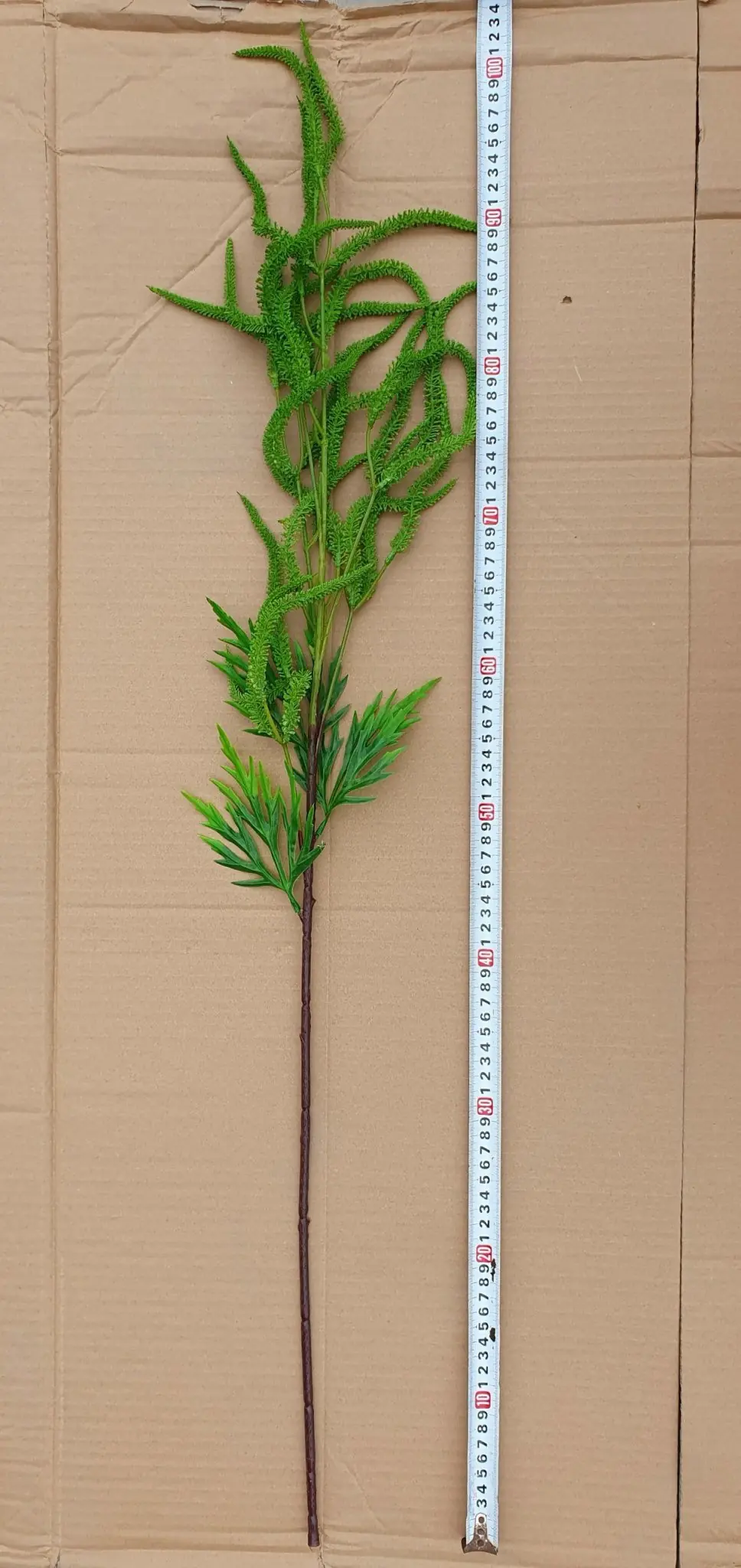 Điểm Dền Gai - Ảnh 6