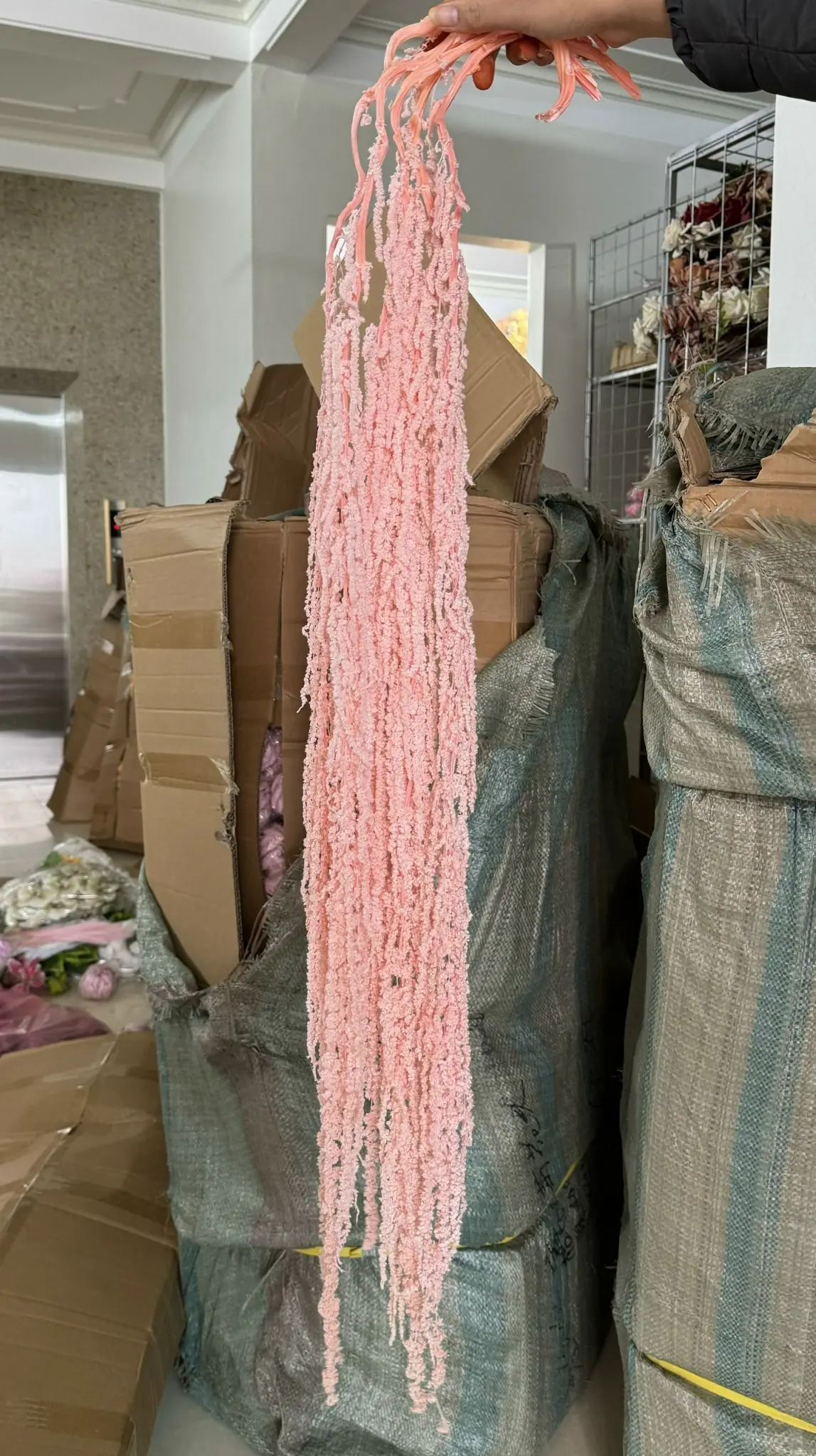 Điểm Dền Khô - Ảnh 2