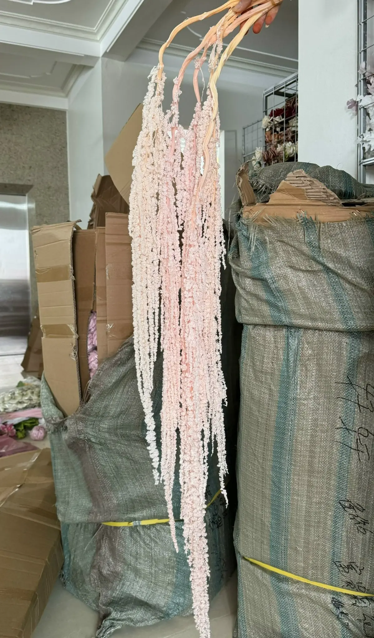 Điểm Dền Khô - Ảnh 8