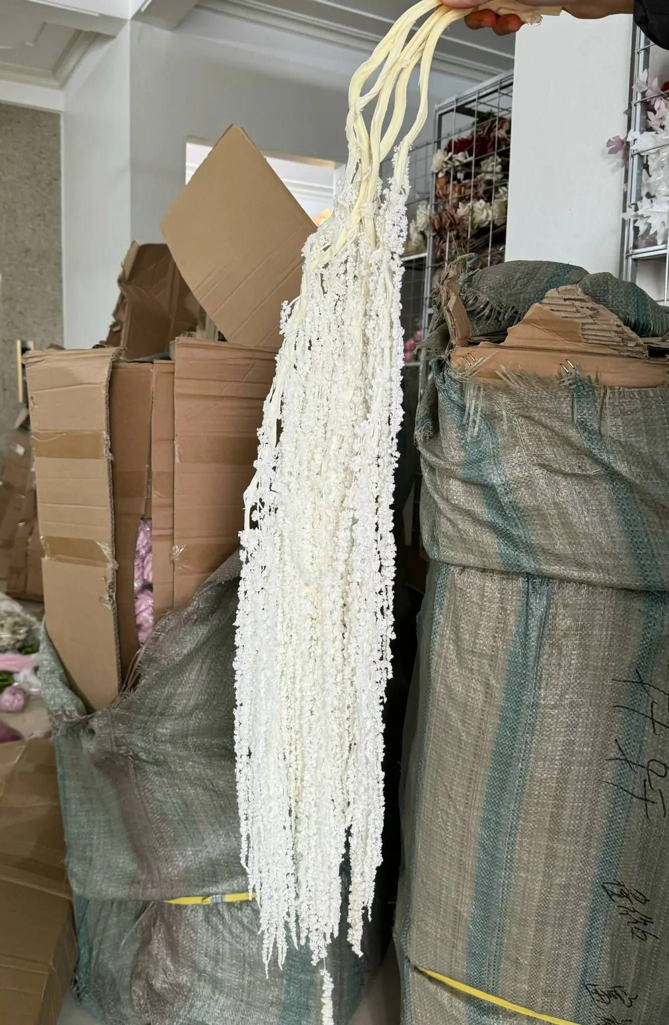 Điểm Dền Khô - Ảnh 9