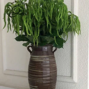 Điểm Dền Ngắn Cao Su Non.