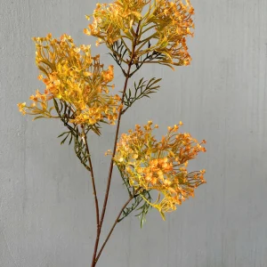 Điểm Điểm hoa Đinh Lăng 3 Nhánh