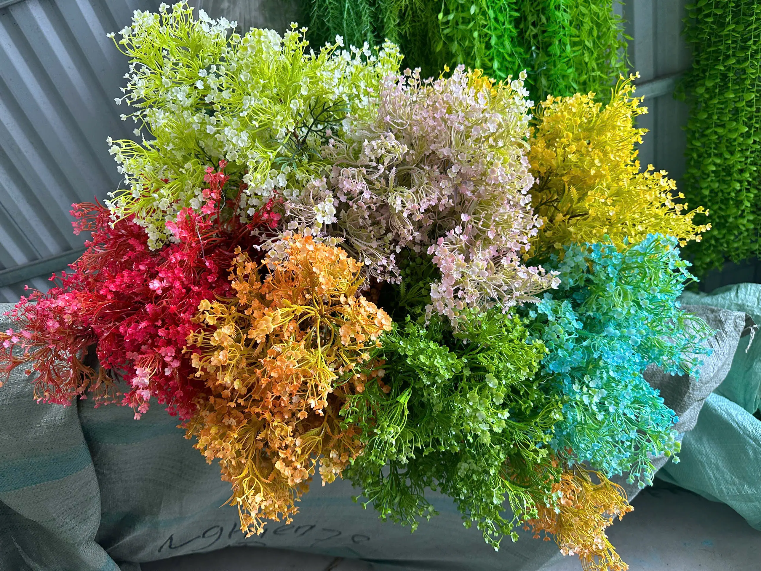 Điểm Điểm hoa Đinh Lăng 3 Nhánh - Ảnh 3