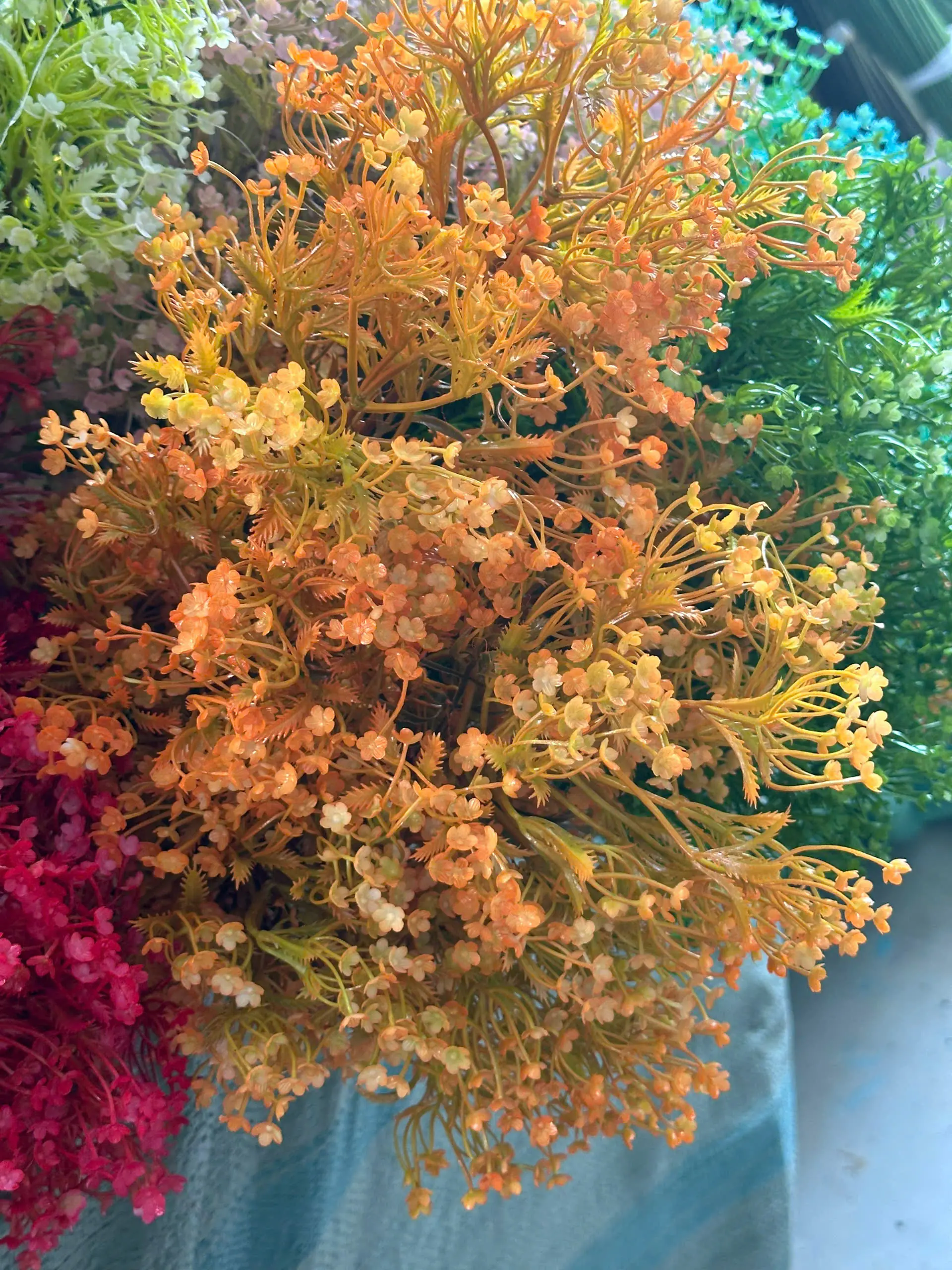 Điểm Điểm hoa Đinh Lăng 3 Nhánh - Ảnh 4