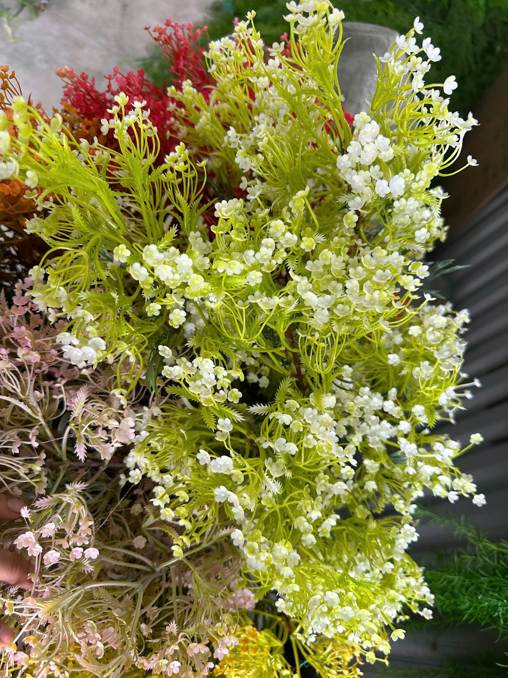 Điểm Điểm hoa Đinh Lăng 3 Nhánh - Ảnh 7