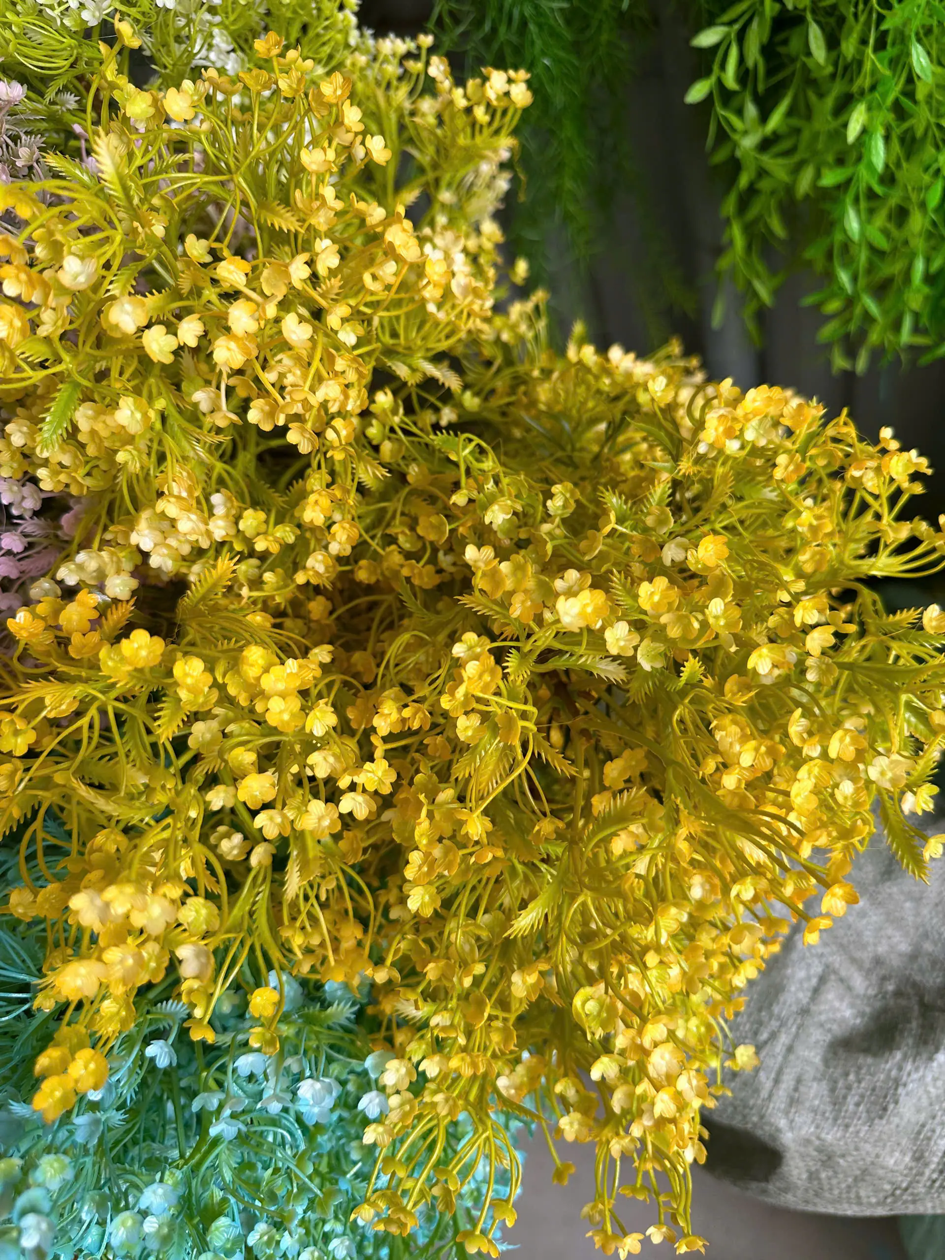 Điểm Điểm hoa Đinh Lăng 3 Nhánh - Ảnh 9