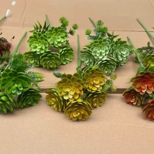 Điểm Điểmcụm Sen Đá