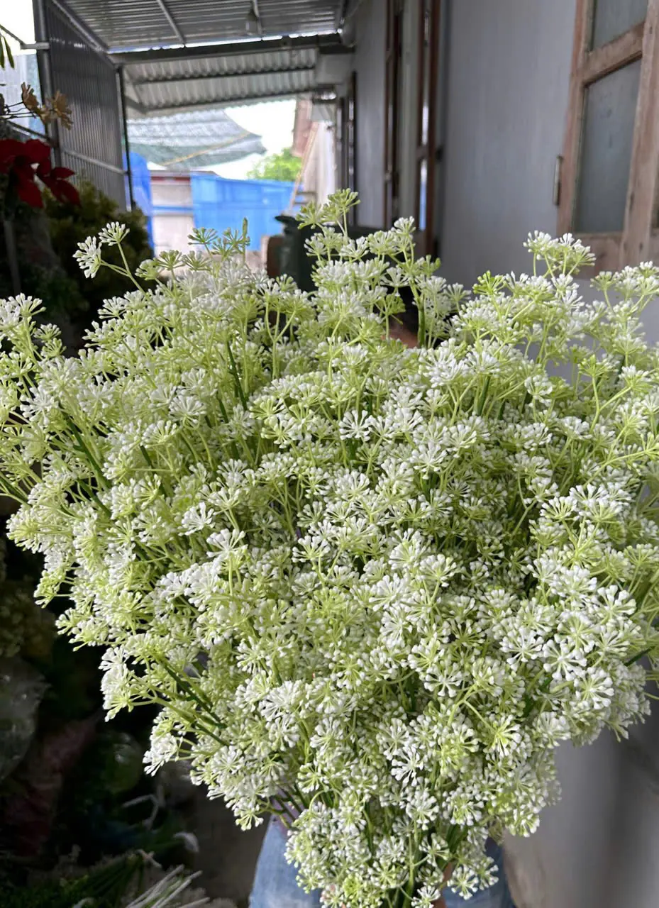 Điểm Hoa Sữa Về Thêm - Ảnh 2