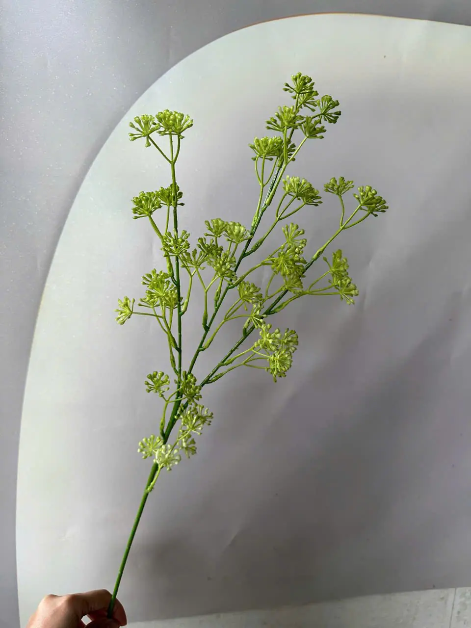 Điểm Hoa Sữa Về Thêm - Ảnh 3