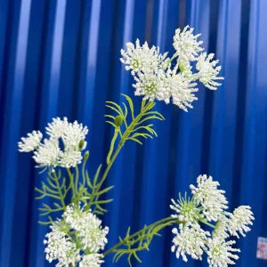 Điểm Hồi Hương Về Thêm Đủ Màu.