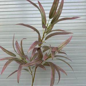 Điểm Lá Chàm 3D