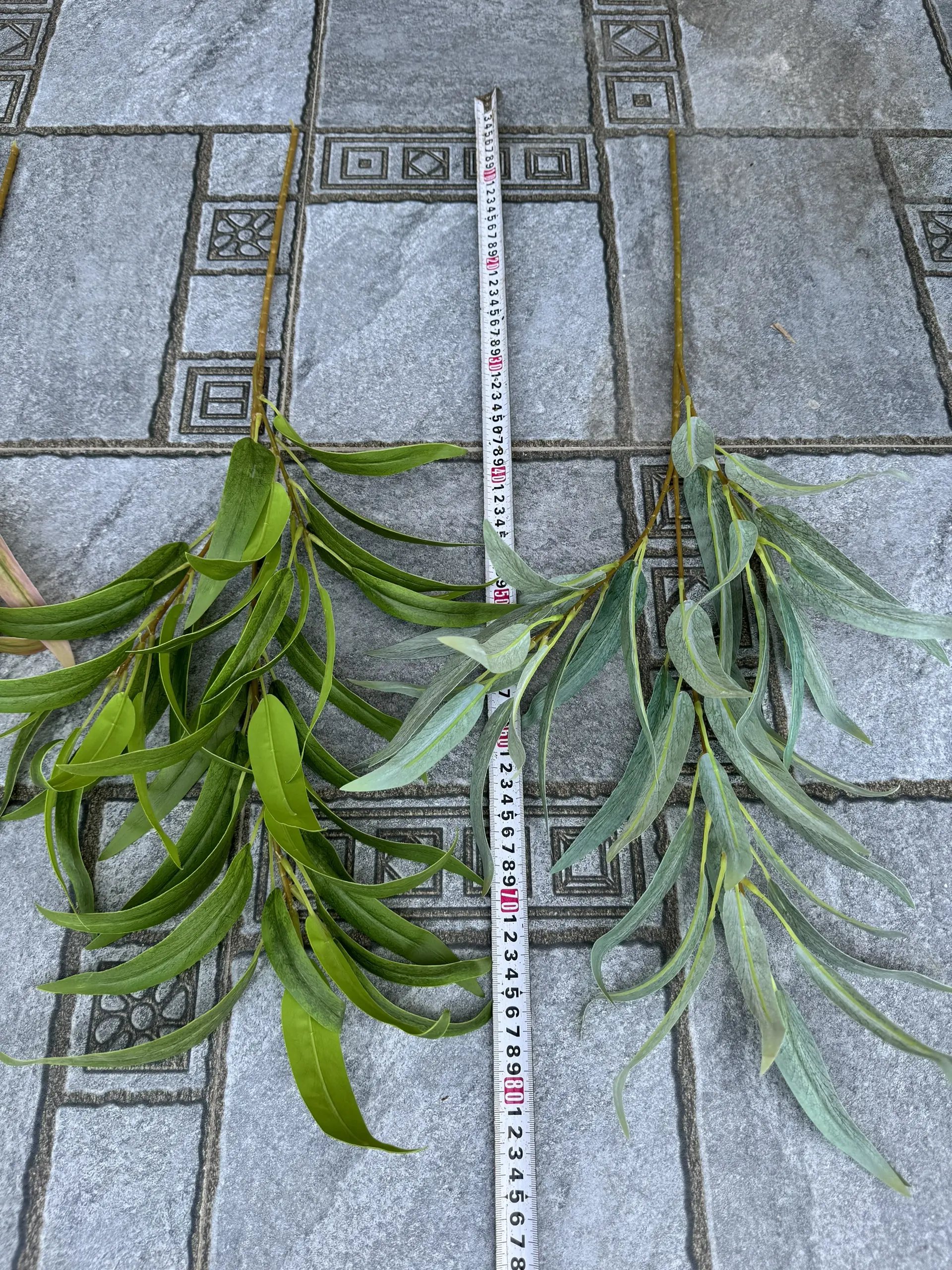 Điểm Lá Chàm 3D - Ảnh 3