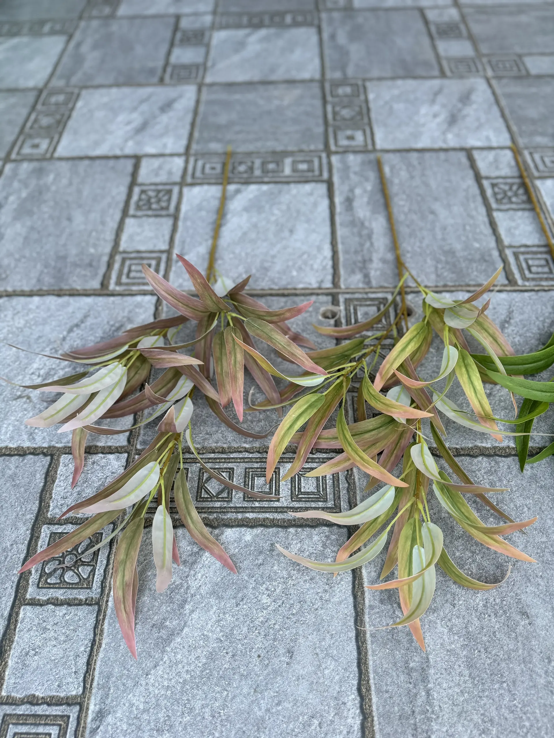 Điểm Lá Chàm 3D - Ảnh 4