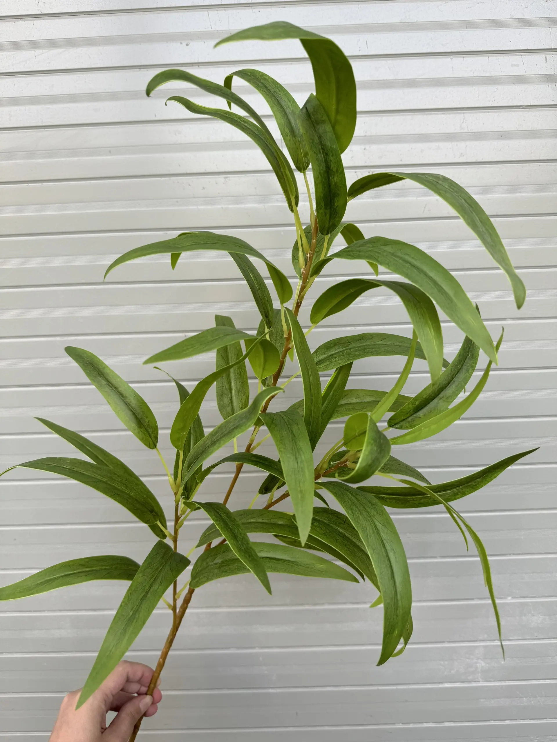 Điểm Lá Chàm 3D - Ảnh 5