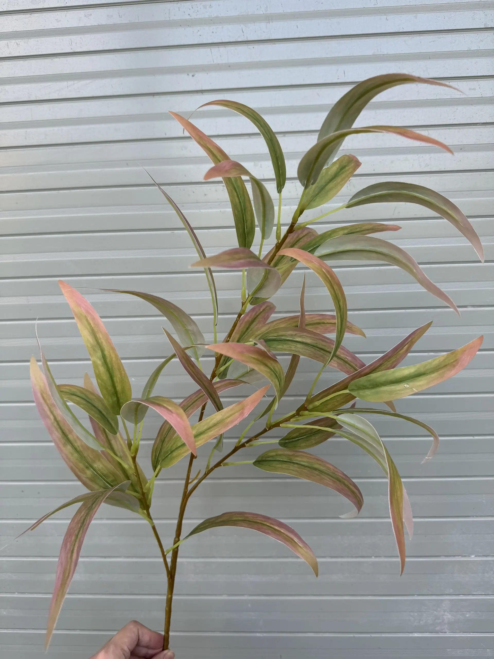 Điểm Lá Chàm 3D - Ảnh 6