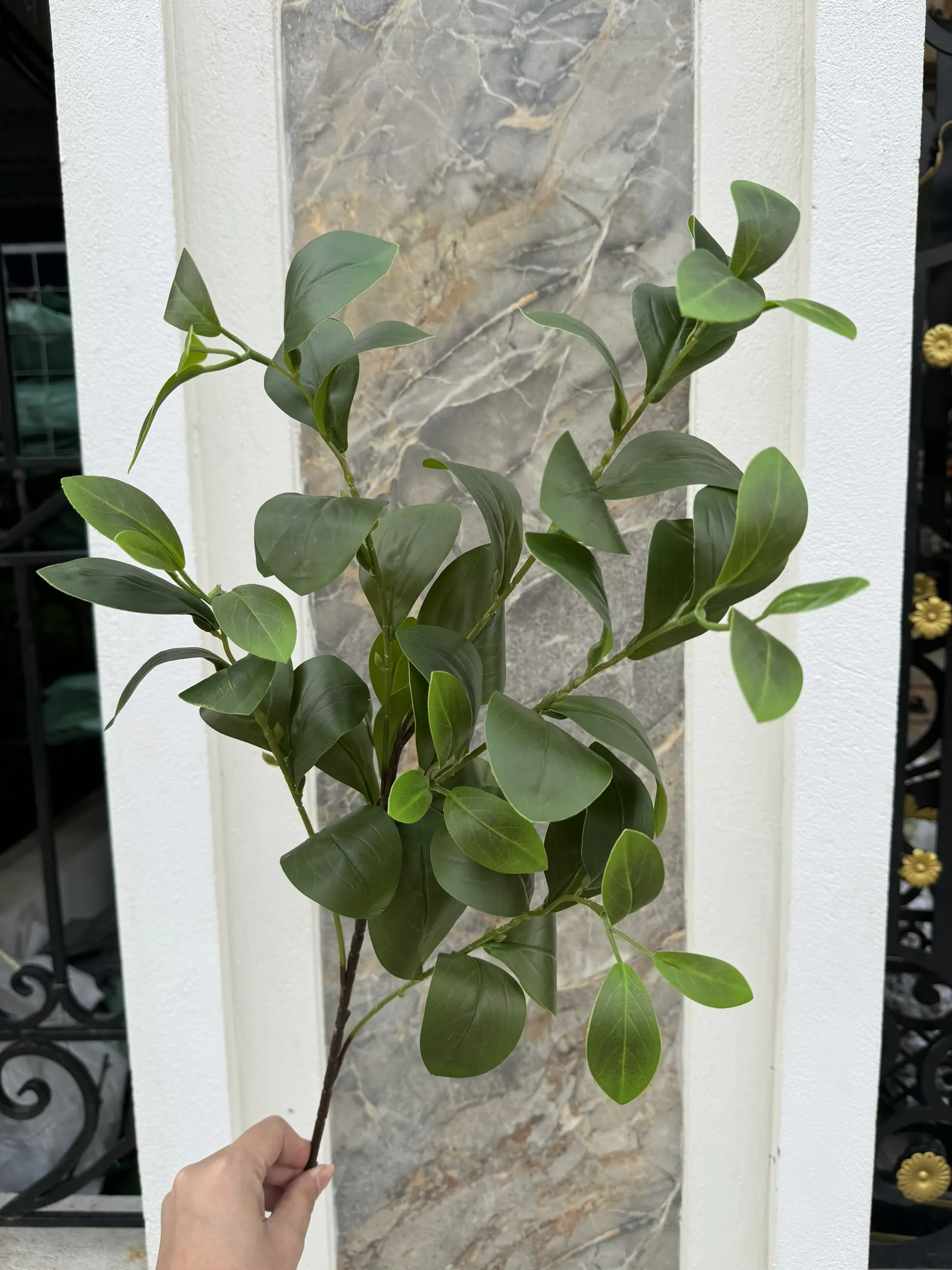 Điểm Lá Chanh 5 Nhánh