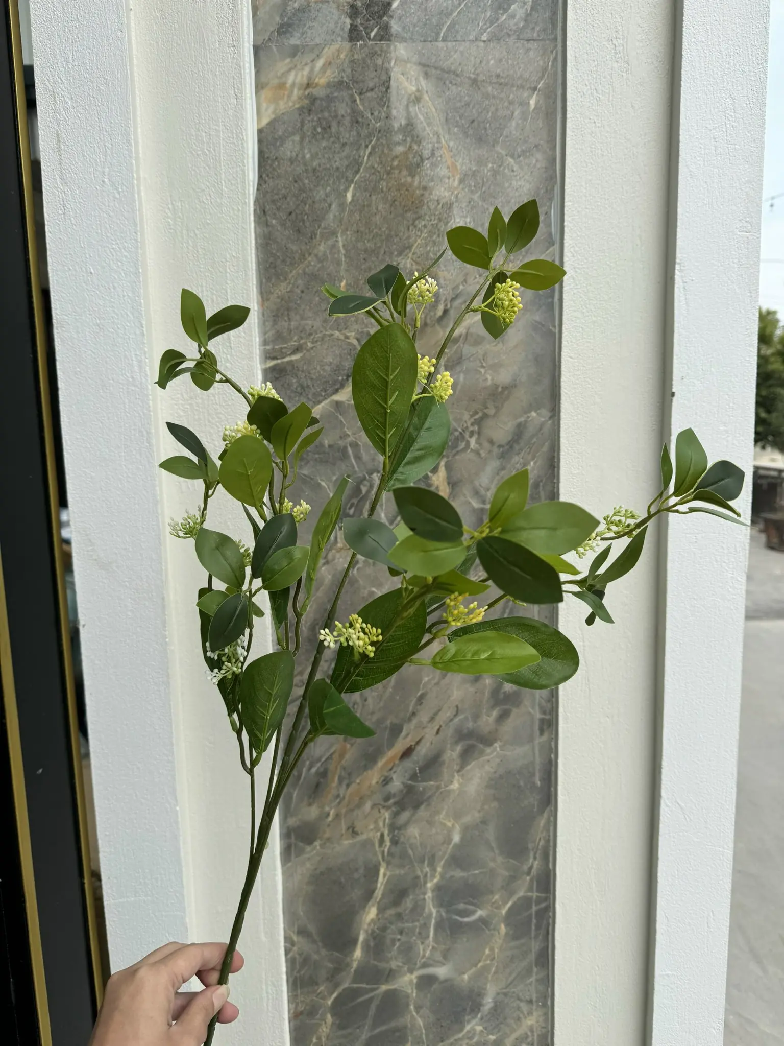 Điểm Lá Chanh Hoa