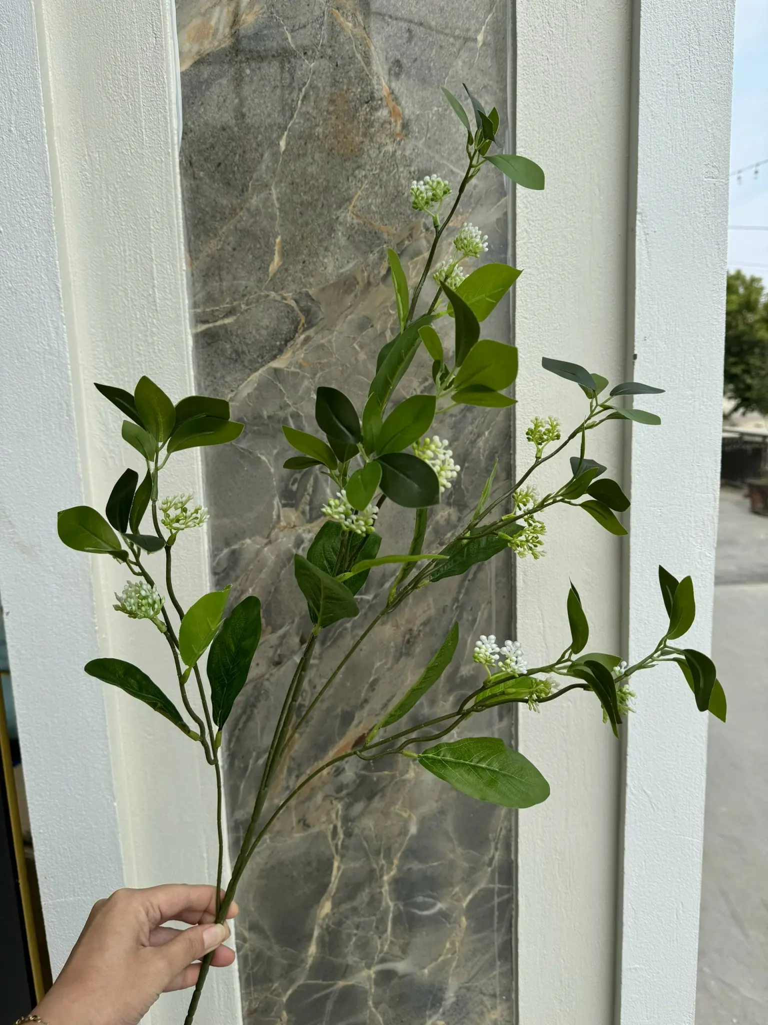 Điểm Lá Chanh Hoa - Ảnh 2