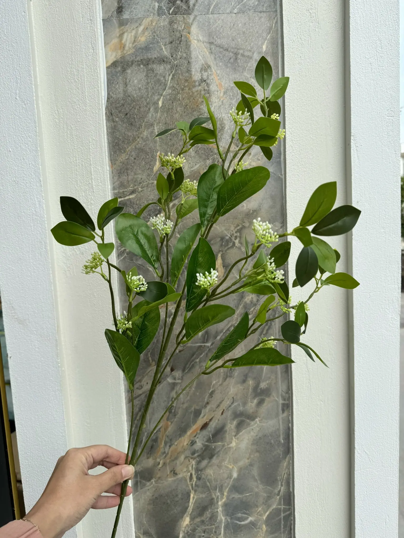 Điểm Lá Chanh Hoa - Ảnh 4