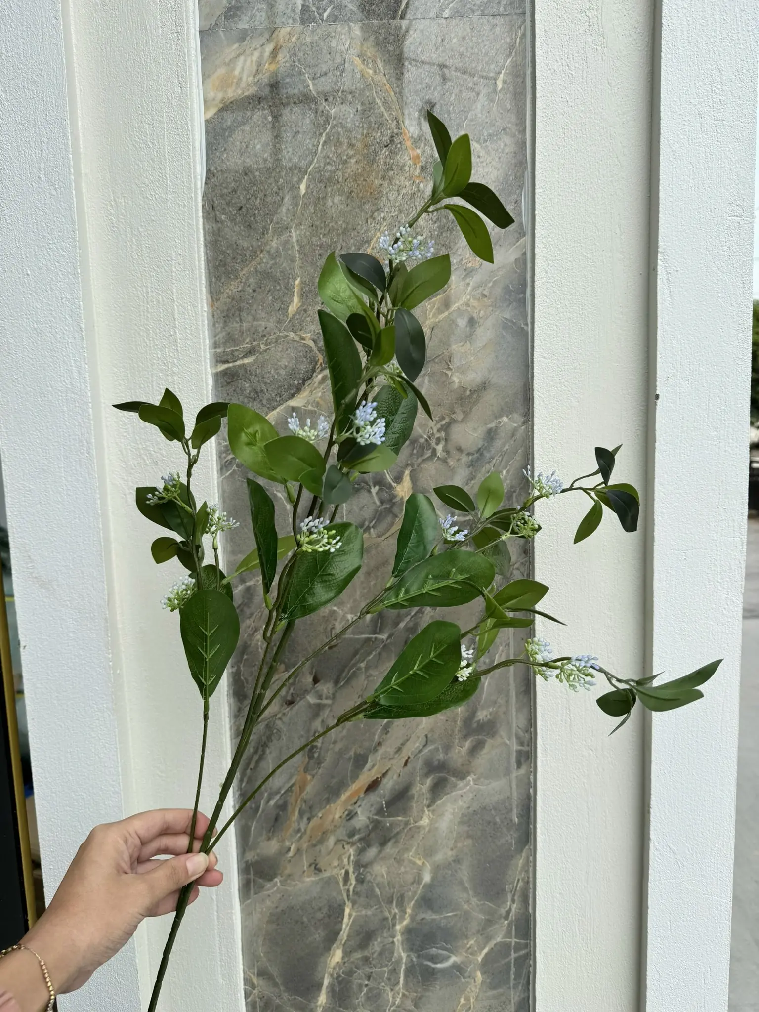 Điểm Lá Chanh Hoa - Ảnh 5