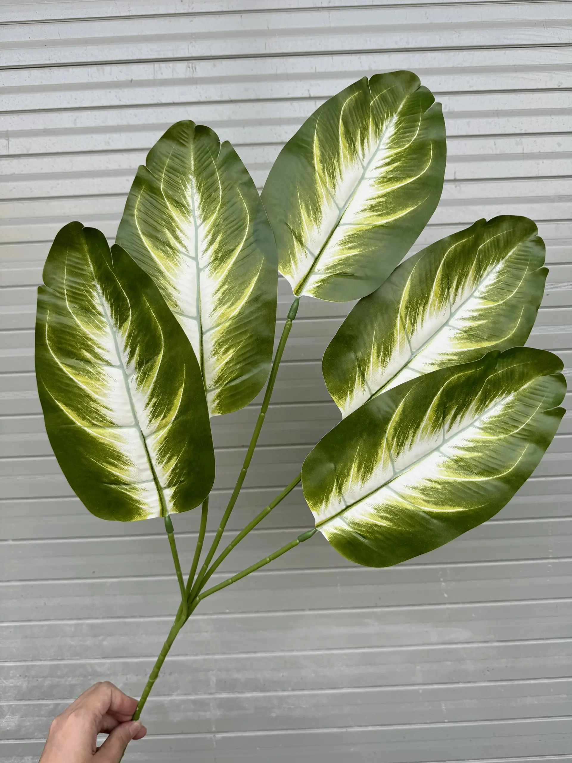 Điểm Lá Chuối - Ảnh 2