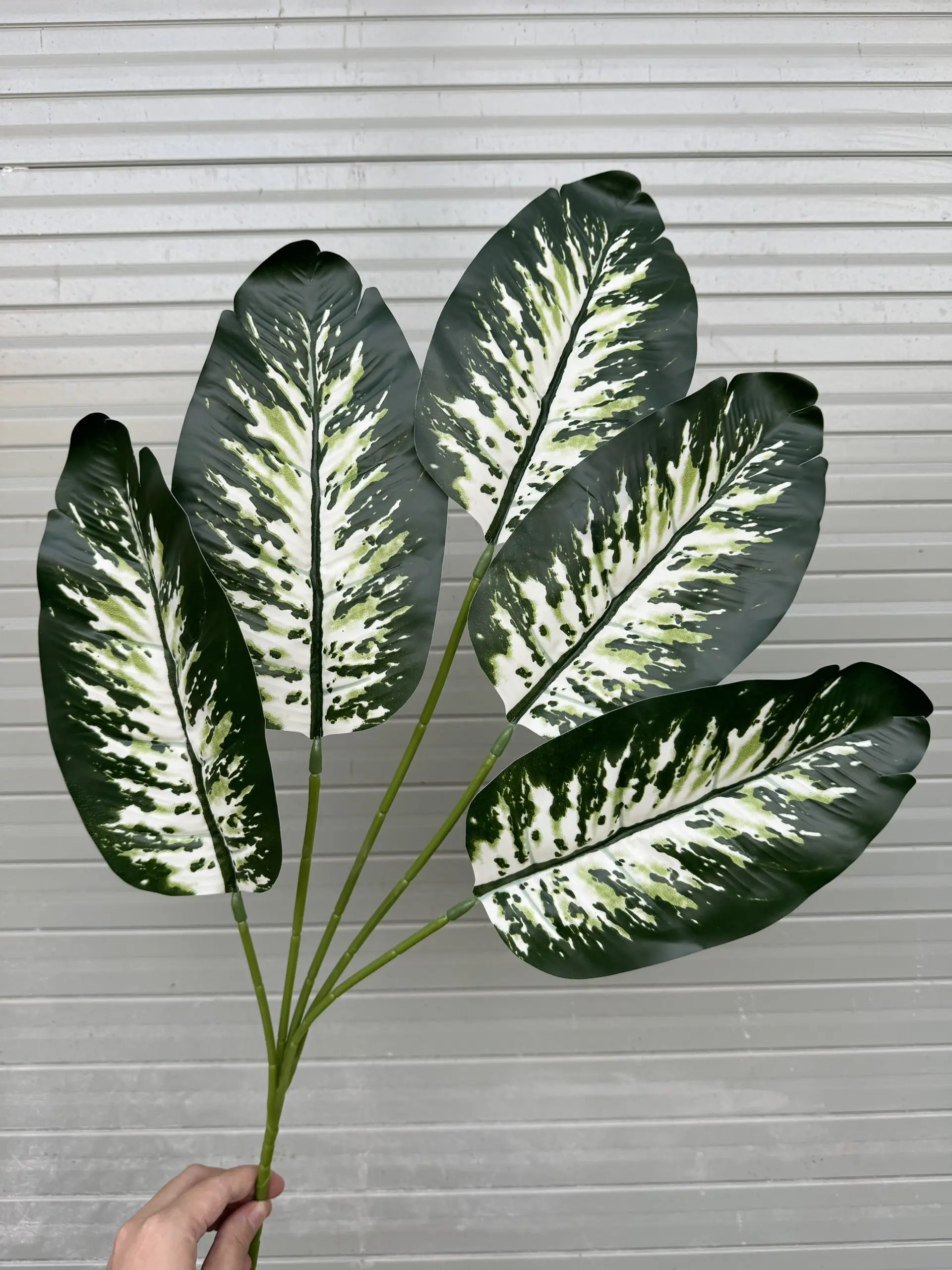 Điểm Lá Chuối - Ảnh 3