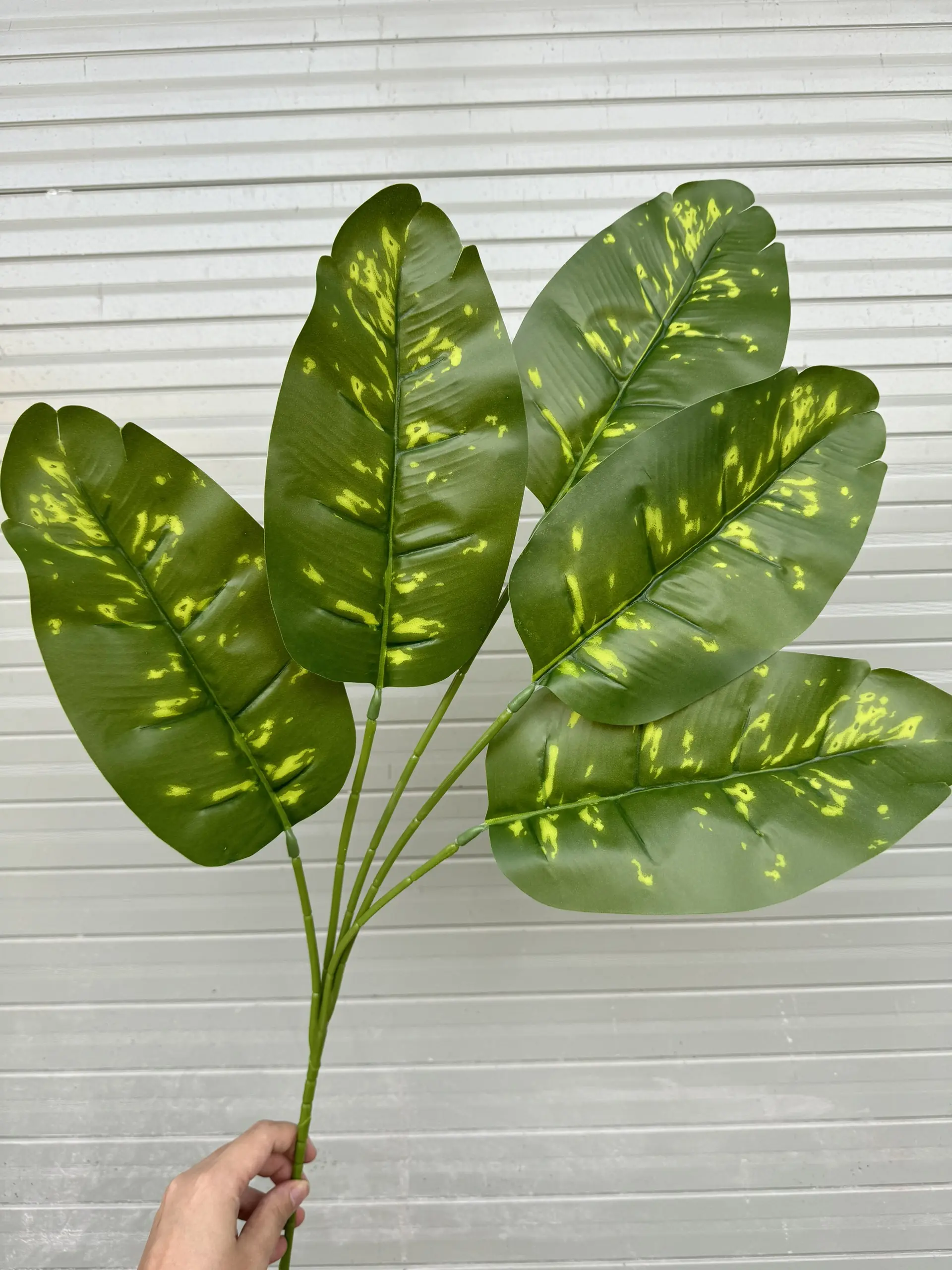 Điểm Lá Chuối - Ảnh 4