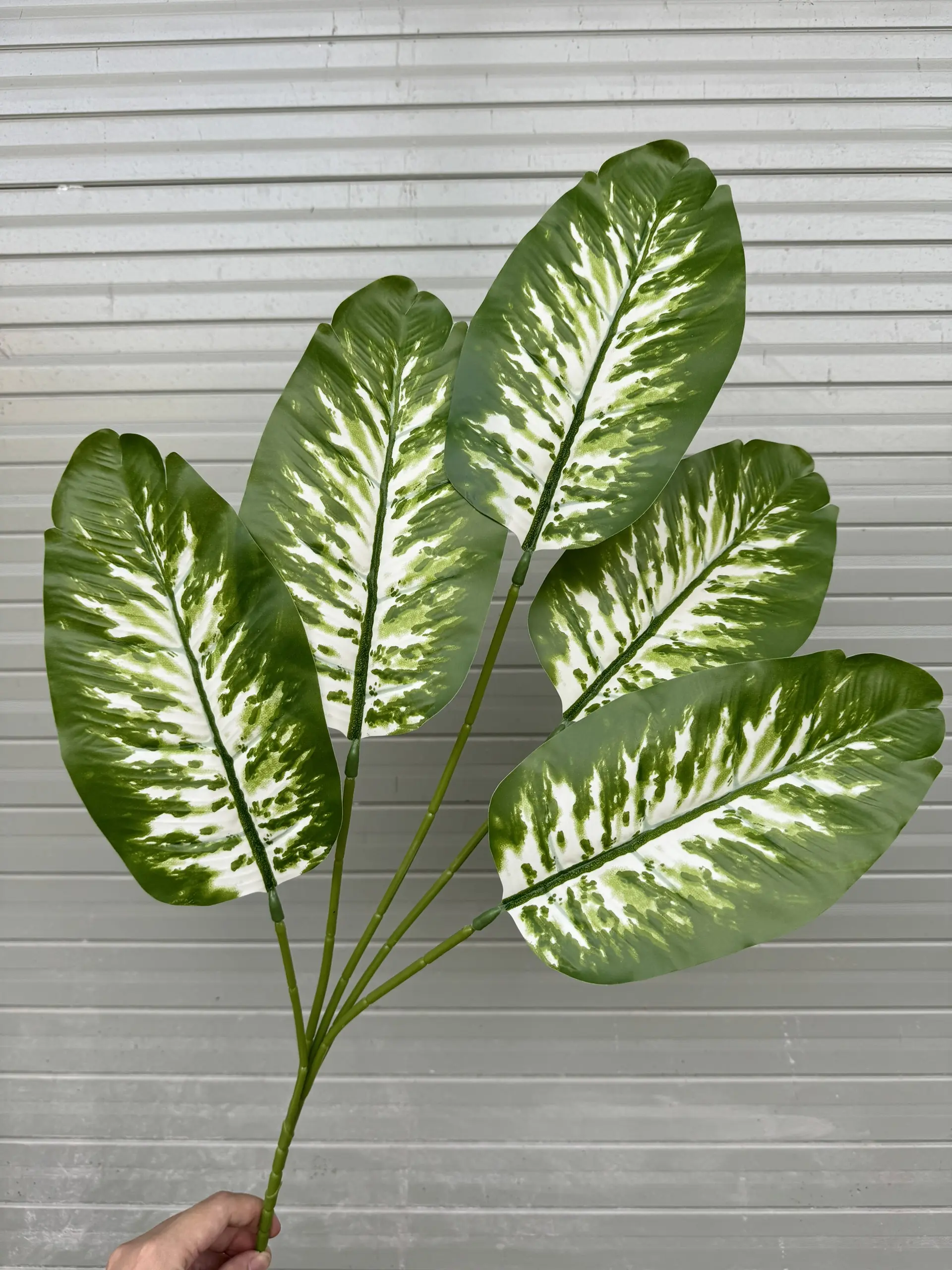 Điểm Lá Chuối - Ảnh 5