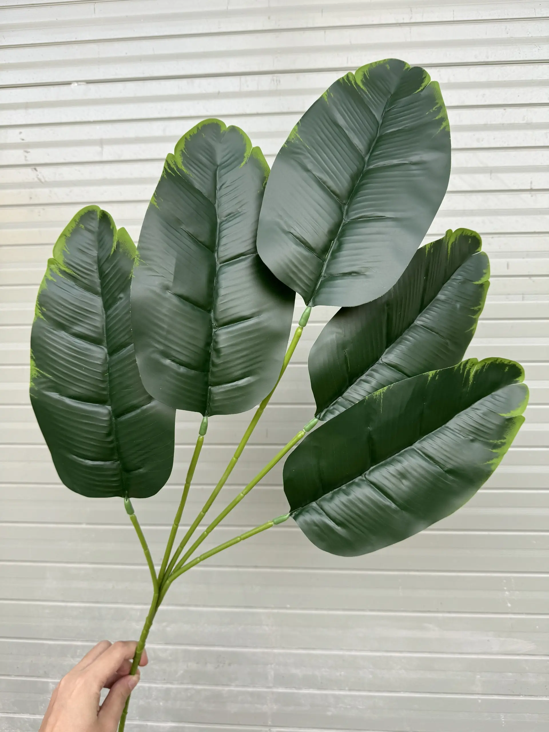 Điểm Lá Chuối - Ảnh 6