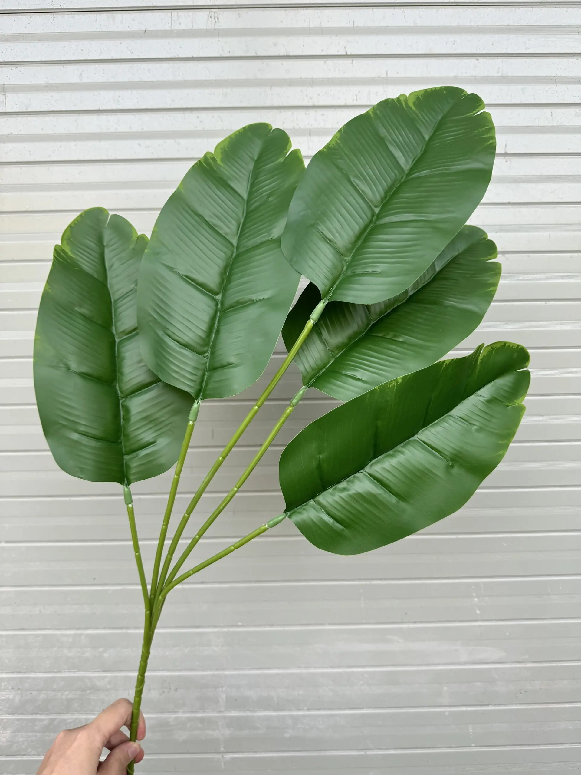 Điểm Lá Chuối - Ảnh 7