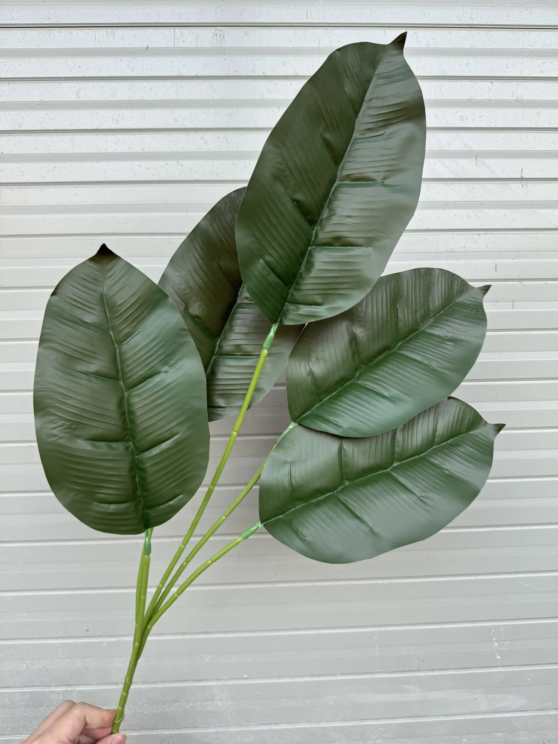 Điểm Lá Chuối - Ảnh 12