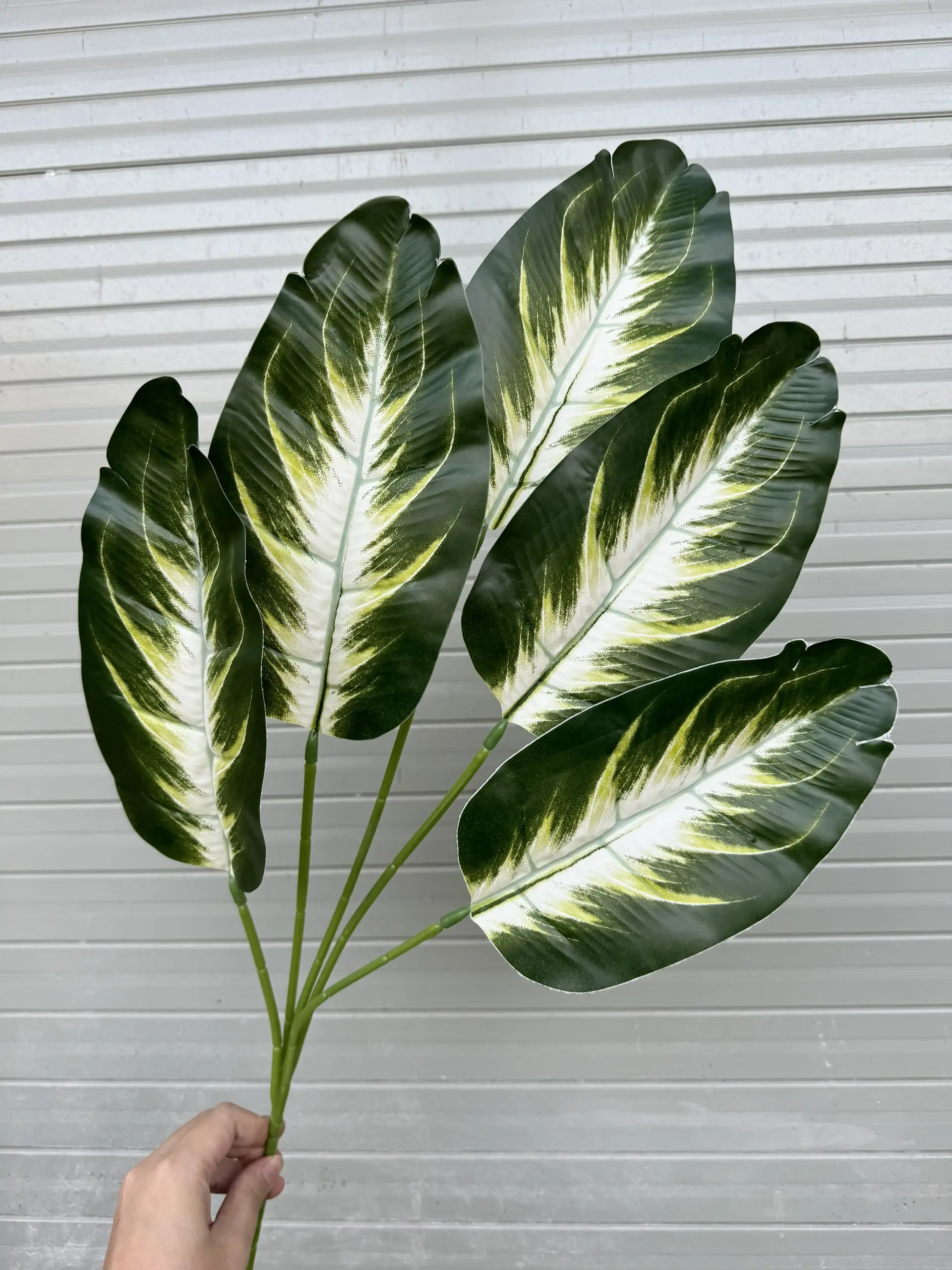 Điểm Lá Chuối - Ảnh 13