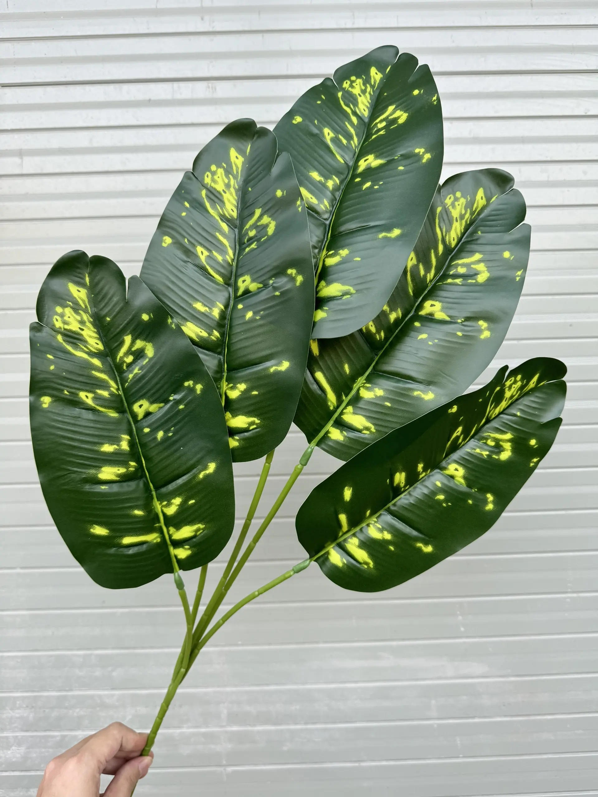 Điểm Lá Chuối - Ảnh 14