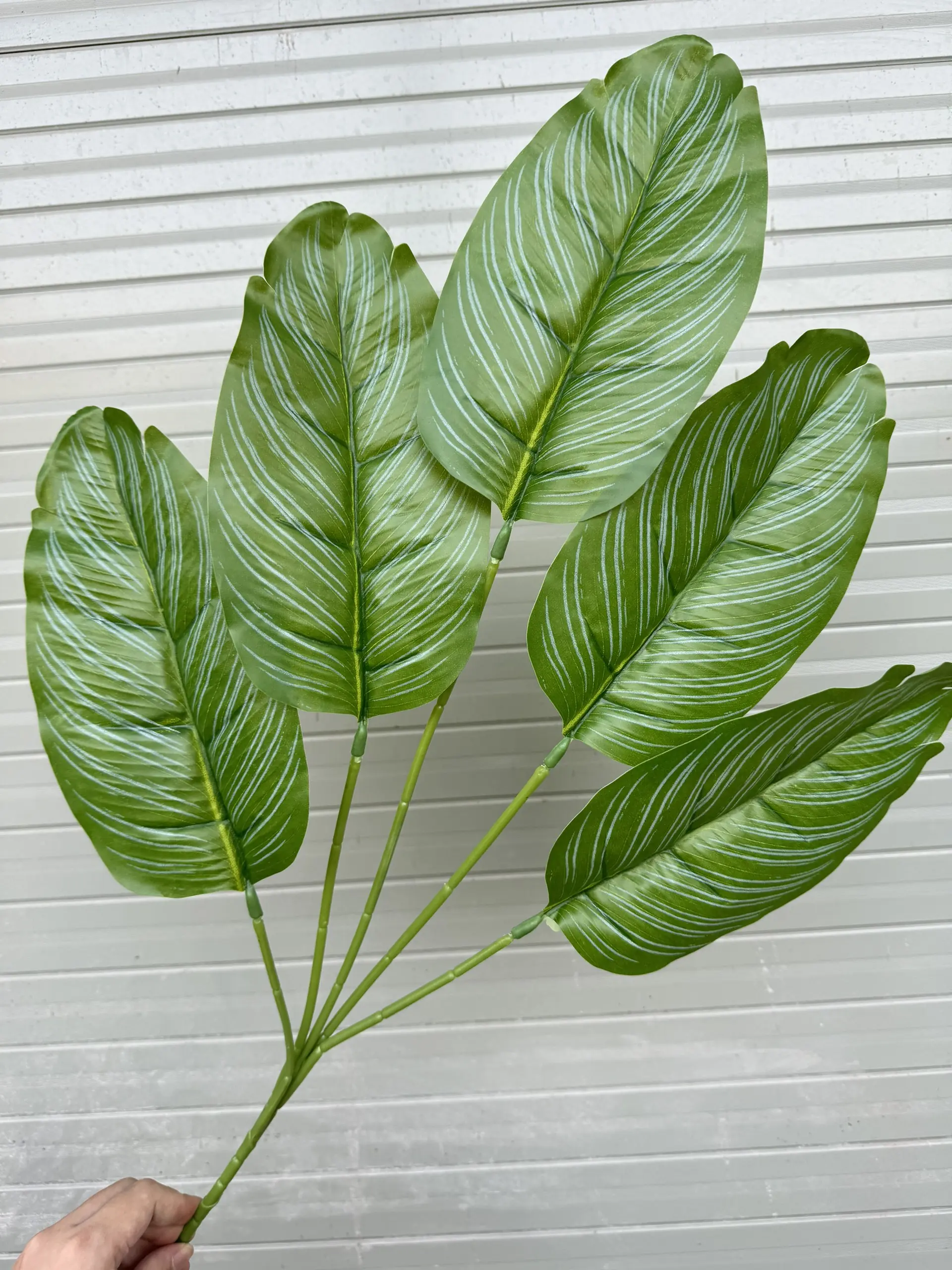 Điểm Lá Chuối - Ảnh 15