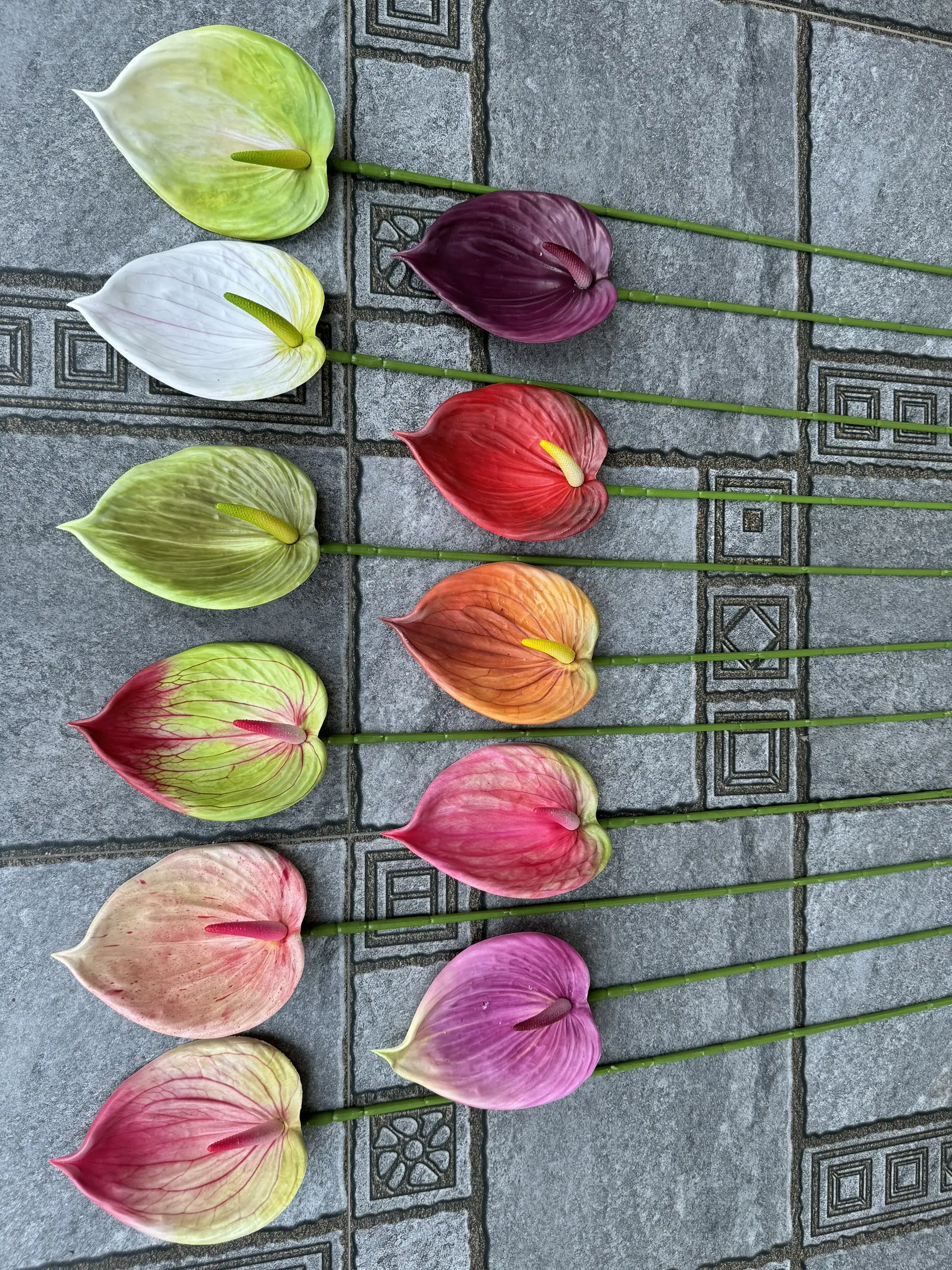 Điểm Lá Hông Môn Tây