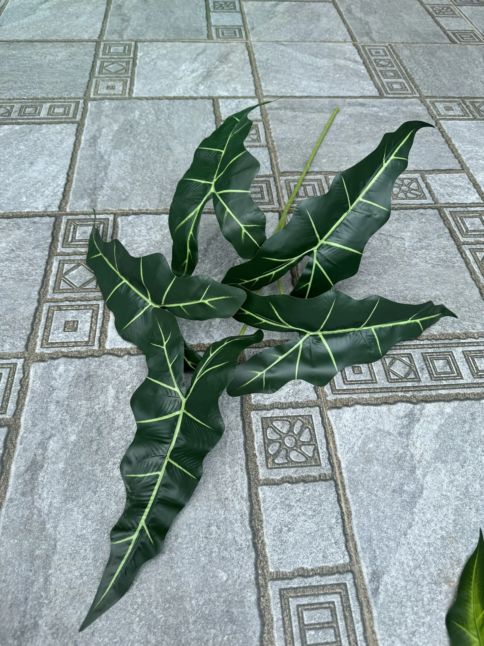 Điểm Lá Khoai - Ảnh 2