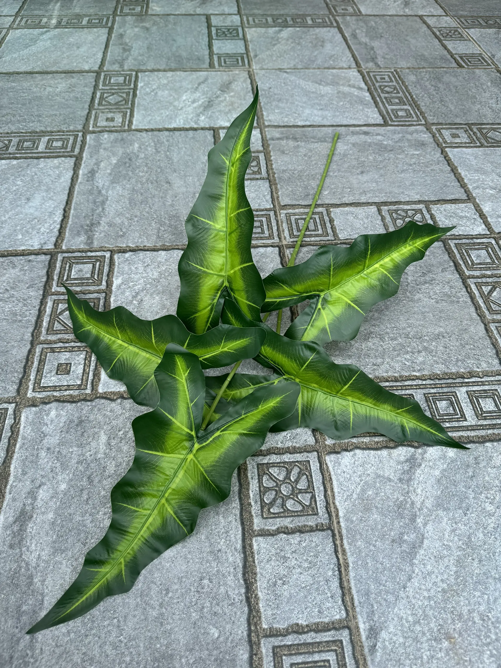 Điểm Lá Khoai - Ảnh 4