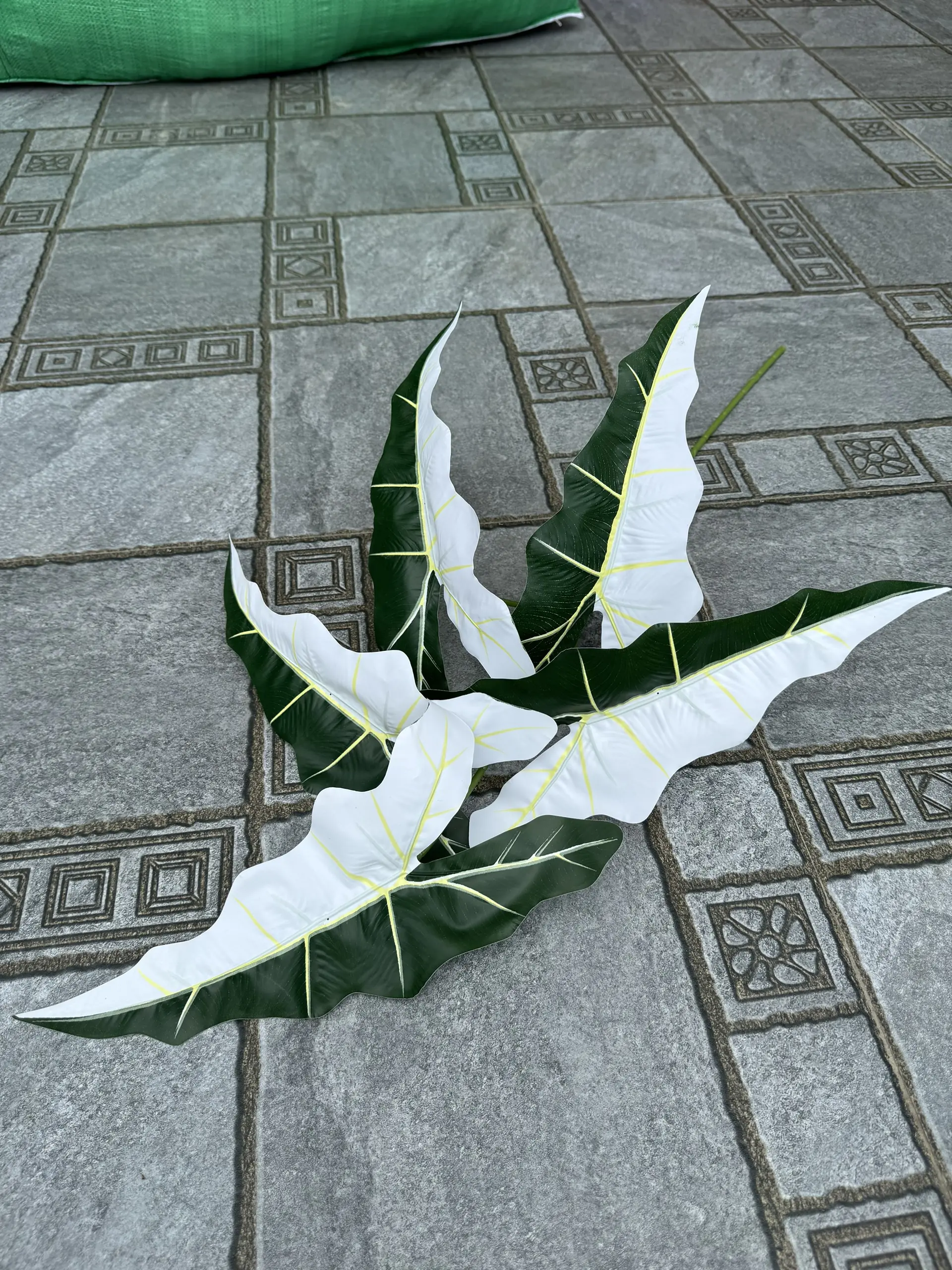 Điểm Lá Khoai - Ảnh 5