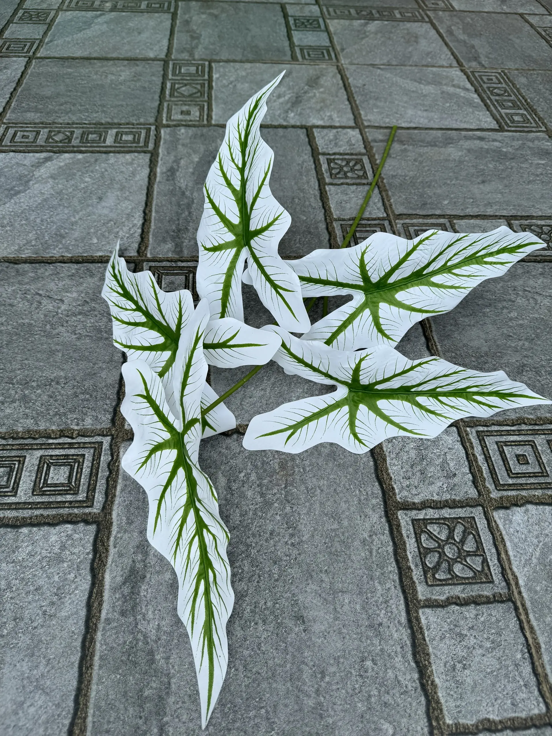 Điểm Lá Khoai - Ảnh 7