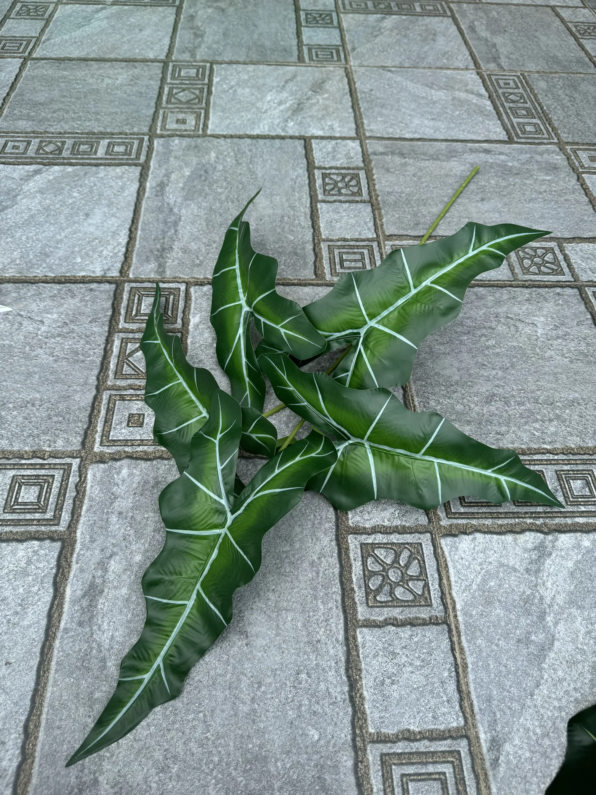 Điểm Lá Khoai - Ảnh 8